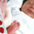 Screening neonatale esteso: più di 40 malattie genetiche si possono individuare alla nascita