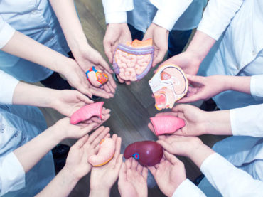 Donazione e trapianto di organi: si può fare di più