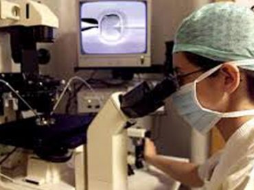 FECONDAZIONE ETEROLOGA: AL VIA LA DONAZIONE DEI GAMETI