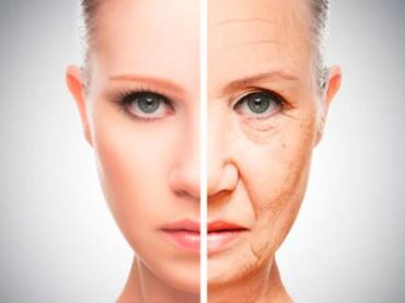 CELLULE STAMINALI: UN “DEPOSITO BANCARIO” DI GIOVINEZZA