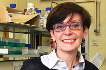 Nuovi approcci terapeutici dalla ricerca sulla Sla