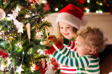 L’albero più bello? Quello sicuro!