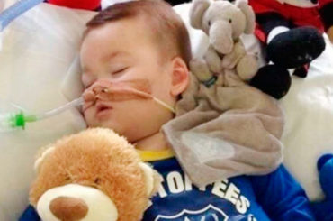 «Il mio piccolo gladiatore è volato via»