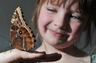 Contro le malattie rare della pelle è importante “fare rete”