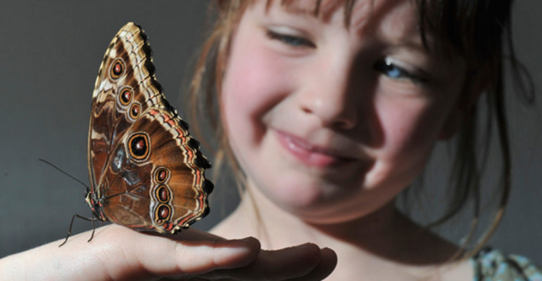 Contro le malattie rare della pelle è importante “fare rete”