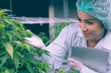 Cannabis e sanità: ripartire dalla scienza