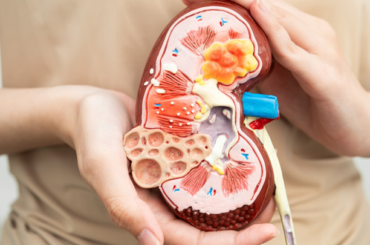 Giornata Mondiale del Rene: con la prevenzione si evita la dialisi