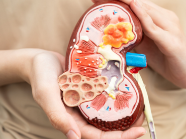 Giornata Mondiale del Rene: con la prevenzione si evita la dialisi